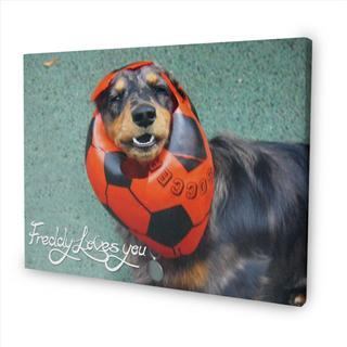 personalised message canvas dog pets