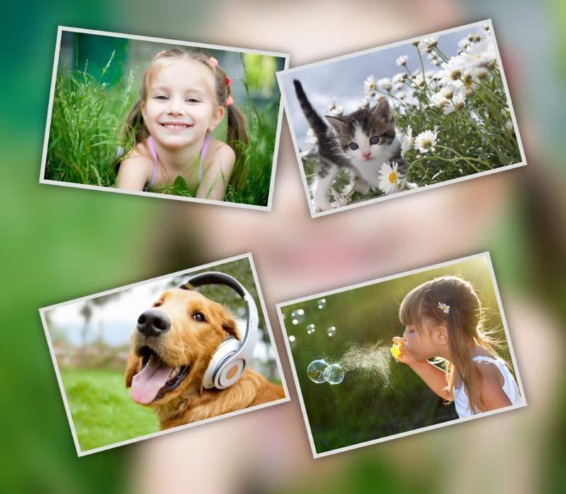 online dog photo montage maker